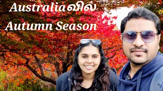 💥🇦🇺 Australiaவில் Autumn Season🍁🍂 இவ்வளவு அழகா   Sydney தமிழ் Family  Australia Tamil Vlogs [upl. by Jala]