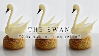 CHOUX CRAQUELIN Bignè a Cigno  Denise Castagno [upl. by O'Donnell202]