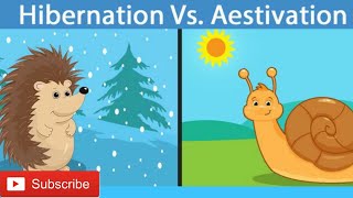 Hibernation vs Aestivation Different between hibernation amp Aestivation [upl. by Atiuqnahs]