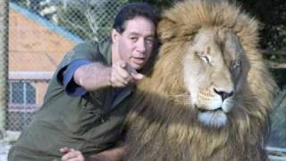 Help quotThe Lion Manquot Craig Busch return to Zion Wildlife Gardens [upl. by Ellenehc]