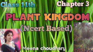 PteridophytesPart6 Plant KingdomNcert class 11th biology youtubevideos trending viralvideo [upl. by Zacks]