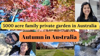 How is Autumn in Australia 5000 acres of garden in AustraliaMayfield Garden [upl. by Undine447]