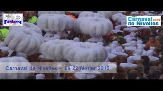 Carnaval de Nivelles 2015 trailer  Belgique  Brabant wallon [upl. by Desdee558]