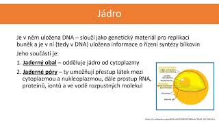 HIO 01 Eukaryontní buňka – organely a jejich základní funkce [upl. by Latea]