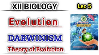 DARWINISM lec 5  Theory of Evolution by natural selection class 12 [upl. by Zischke]