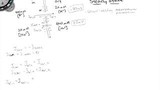 Realistic Resting Potential and Ion Fluxes [upl. by Nageek863]