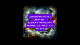 GenesisMavambo 1 1 Kusikwa kwedenga nenyika Nokutadza kwaAdam na Eve [upl. by Prunella]