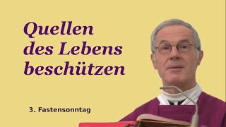 quotQuellen des Lebens beschützenquot  P Paul Weingartner [upl. by Raasch538]