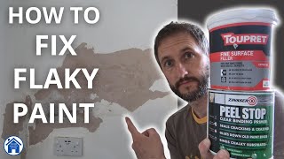 How to FIX FLAKY PAINT Peeling paint DIY repair How to use fine surface filler Flaking paint fix [upl. by Latona]