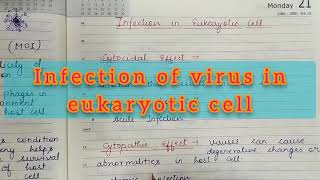 Infection of virus in eukaryotic cells Cytocidal and Cytopathic effects of viruses [upl. by Noseimaj]