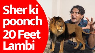 Sher ki poonch 20 Feet Lambi  Ashutosh Kaushik [upl. by Anaitat]