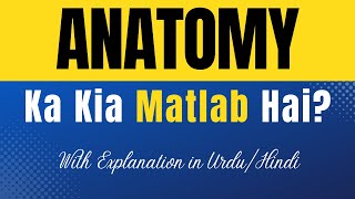 Anatomy Meaning in Urdu Anatomy Ka Kia Matlab Hota Hai UrduHindi Explanation Included [upl. by Atikram]