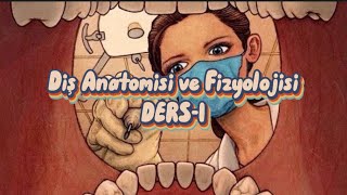 Diş Anatomisi ve Fizyolojisi Ders1  Terminoloji ve Giriş [upl. by Nnaitsirk33]