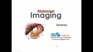 5 Radiological Anatomy Of The Abdomen  Prof Mamdouh Mahfouz [upl. by Nalod632]