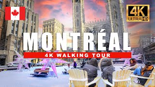 🇨🇦 Montréal Quebec Canada Walking Tour  Relaxing Winter Walkthrough  4K HDR 60fps [upl. by Reid678]