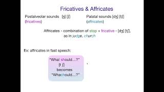 AcqOfLang1 Affricates [upl. by Eehc254]