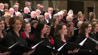 JUBILATE DEO olv Marco den Toom  Halleluja Beethoven [upl. by Leval]