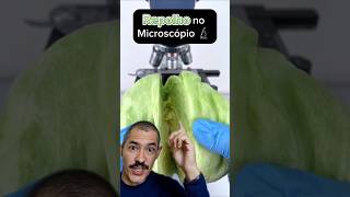 Repolho no Microscópio  Você gosta desse vegetal [upl. by Monson]