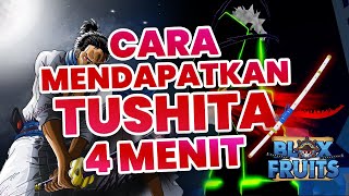 CARA MENDAPATKAN TUSHITA Blox Fruits 4 MENIT [upl. by Thorlay]