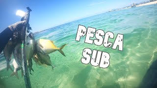 Pescaria em Saquarema  Mergulho com muito peixe pescasub spearfishing riodejaneiro [upl. by Ahseiat]