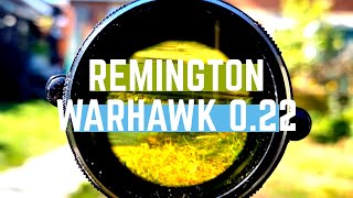 022 Remington Warhawk Air Rifle Review amp Unboxing [upl. by Trilby]