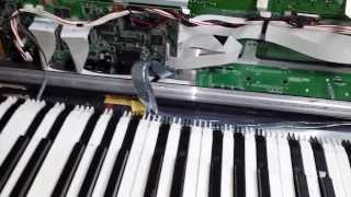 Roland XV88 key repair DIY [upl. by Verna]