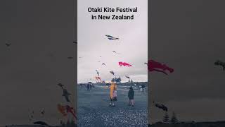 Otaki Kite Festival in New Zealand  뉴질랜드 연날리기 축제풍경 [upl. by Yalonda]