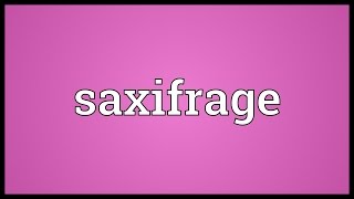 Saxifrage Meaning [upl. by Artamas677]