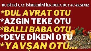 Bu çayların isimleri aklınızı başınızdan alacak Dul avrat otu azgın teke otu [upl. by Erreit]