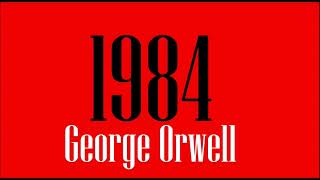 1984 di George Orwell  Parte 9  LA FINE  Audiolibro Italiano [upl. by Andersen]