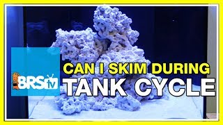 FAQ 30 Should I run my protein skimmer during my tank cycle and while curing rock [upl. by Nakada]