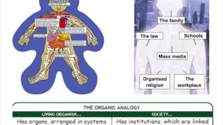 SY1 Functionalism [upl. by Mcafee]