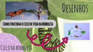 Aprenda sobre Ciclo de vida da Borboleta Desenhos e curiosidades 🍃🐛🦋 [upl. by Macknair]