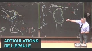 Anatomie des articulations de lépaule Membre supérieur 1 [upl. by Jansen649]