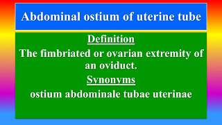 Abdominal ostium of uterine tube [upl. by Howzell]