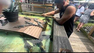 GATORLAND ORLANDO [upl. by Anitsrihc]