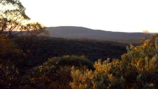 A Gold  Metal detecting Adventure Coolgardie Western Australia [upl. by Naenaj560]