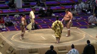 大相撲2016717㊱翔傑shoketsu富栄tomisakaenagoya Bashoday 8 sumo [upl. by Derry]