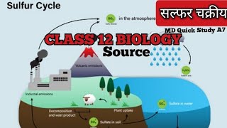 Sulphur Cycle  सल्फर चक्रीय  Full Explaination in Hindi  NCRT Class 12 Biology [upl. by Olracnaig]