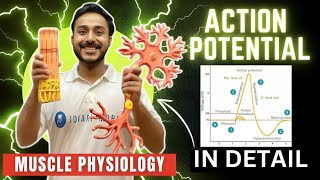 action potential physiology in hindi  ionic basis of action potential in skeletal muscle physiology [upl. by Peder404]