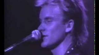 Sting amp Police  King Of Pain Live [upl. by Loretta]