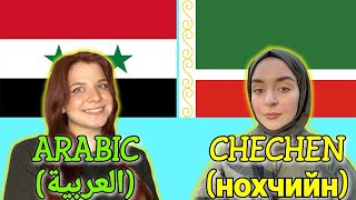 Similarities Between Arabic and Chechen [upl. by Frannie]