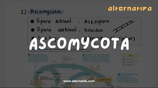 Kingdom Fungi Ascomycota  Biologi  Alternatifa [upl. by Arathorn]