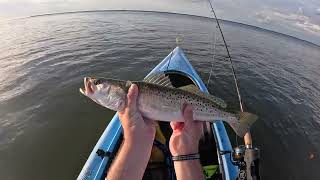 Screaming reels Catching barracuda and other toothy critters on Sanibel Island [upl. by Steck]