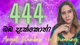 444 නිතර දකිනවද ANGEL NUMBER 444 MEANING [upl. by Nehtanhoj434]