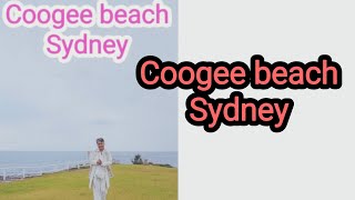 Coogee beach จุดชมปลาโลมาที่ Sydney visitaustralia visitsydney australia Sydney coogeebeach [upl. by Tade]