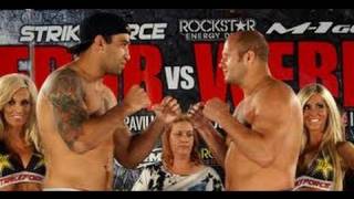 Fedor Emelianenko vs Fabricio Werdum  MMA [upl. by Dasha]