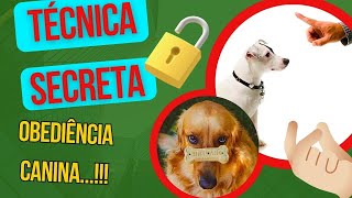 CACHORRO TEIMOSO NÃO OBEDECE PARA TOMAR BANHO OU PASSEAR E TOMAR REMÉDIO EM COMPRIMIDO [upl. by Gignac886]