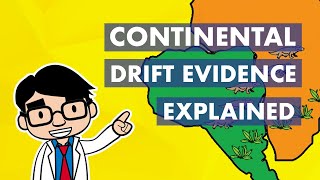 Continental Drift Evidence Explained [upl. by Melodie]