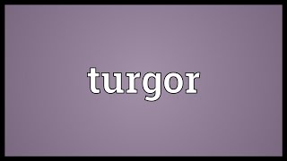 Turgor Meaning [upl. by Liahcim]